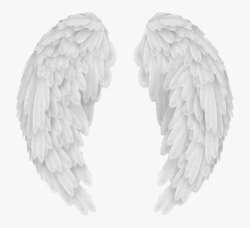 White Wings - Transparent Background Angel Wings Png, Png Download, Free Download