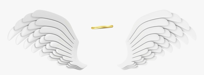 White Wings Png Transparent Image - Transparent Background Angel Wings Png, Png Download, Free Download