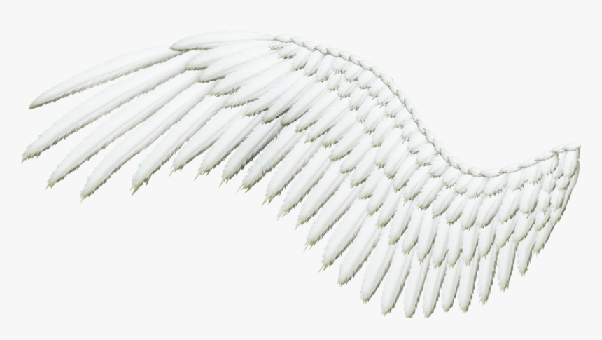 Transparent Angels Wings Clipart - Angel Wings Angle, HD Png Download, Free Download