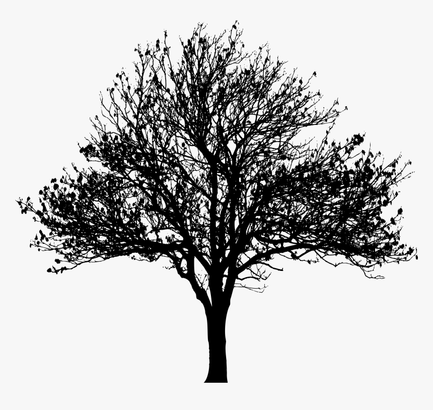 Tree Silhouette At Getdrawings - Transparent Background Tree Silhouette, HD Png Download, Free Download