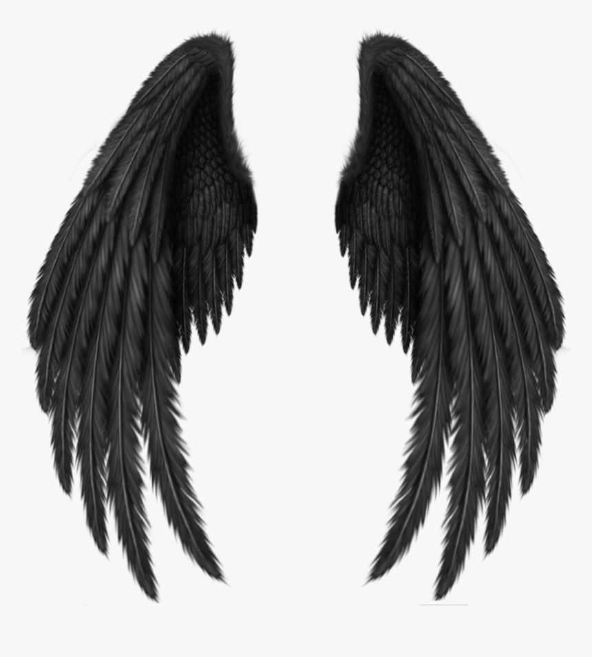 Black Wings Png Image - Picsart Wing, Transparent Png, Free Download