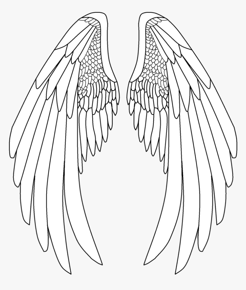 Angel Wings Png - Drawing Pencil Angel Wings, Transparent Png, Free Download