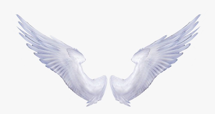 Wing Angel Clip Art - Angel Wings No Background, HD Png Download, Free Download