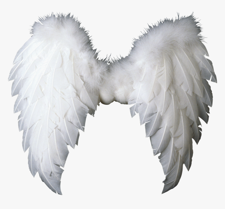 White Wings Png Image - Angel Wings Png, Transparent Png, Free Download