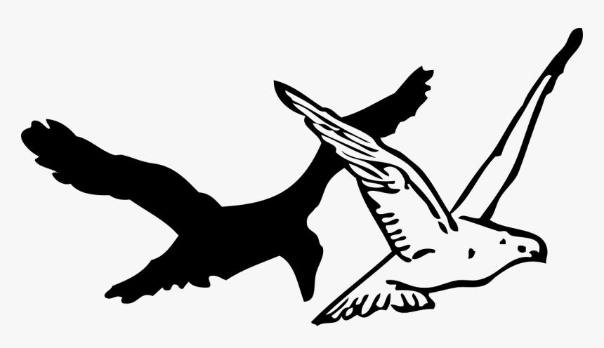 Drawing Of Flying Crow, HD Png Download, Free Download