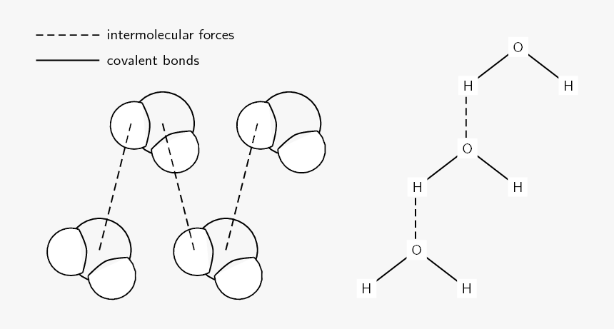 Water Structure Intermolecular Force, HD Png Download, Free Download