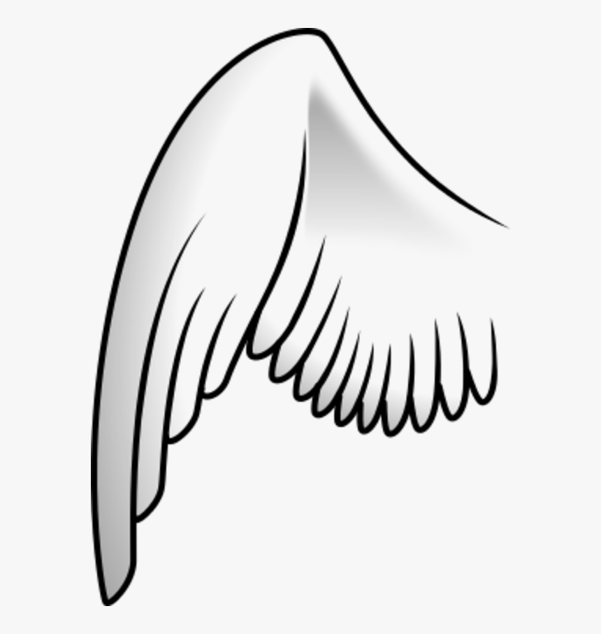 Transparent Angel Wings Clipart - Clipart Wing, HD Png Download, Free Download