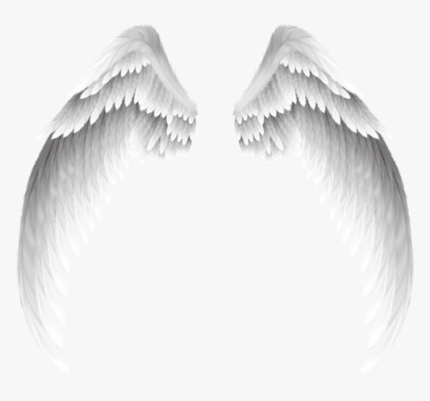 #white #wings #swirls #decor #decoration #icon #icons - Alas Aesthetic, HD Png Download, Free Download