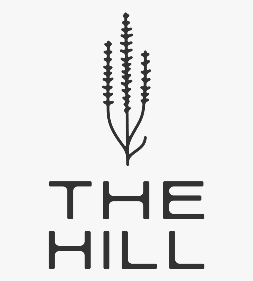 Hil 2 Copy - Horsetail, HD Png Download, Free Download