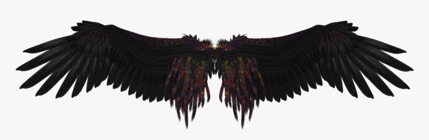 Angel Wing Png - Dark Angel Wings Png, Transparent Png, Free Download