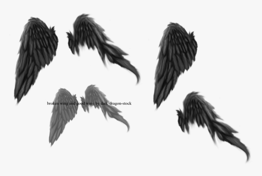 Broken Angel Wings Png, Transparent Png, Free Download