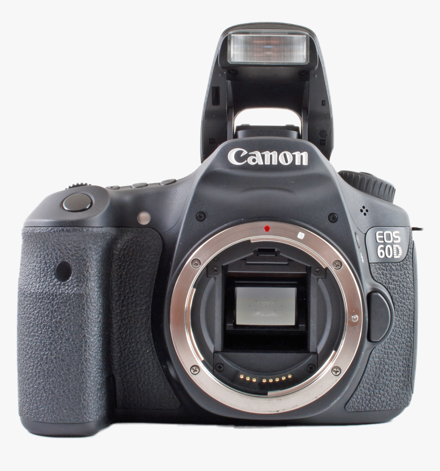 Description De L"image Canon Eos 60d Without Lens - Canon Eos, HD Png Download, Free Download