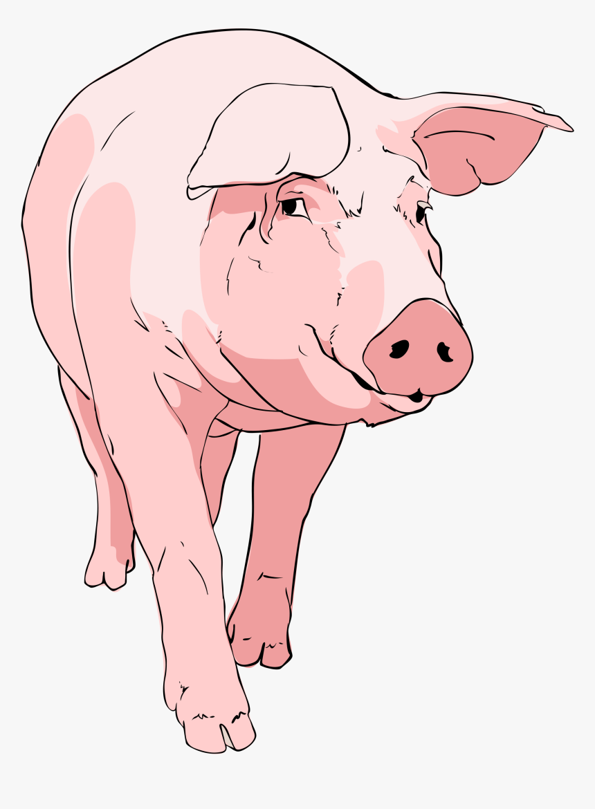 File Pig Svg Wikimediamons Free Download Clipart - Pig Clipart, HD Png Download, Free Download