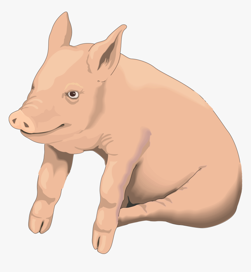Picture Pig Png Image - Pig Clipart With Transparent Background, Png Download, Free Download