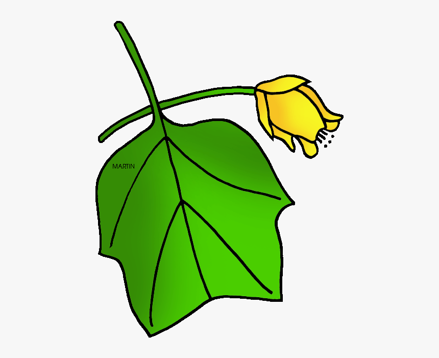 State Tree Of Kentucky - Tulip Poplar Clip Art, HD Png Download, Free Download