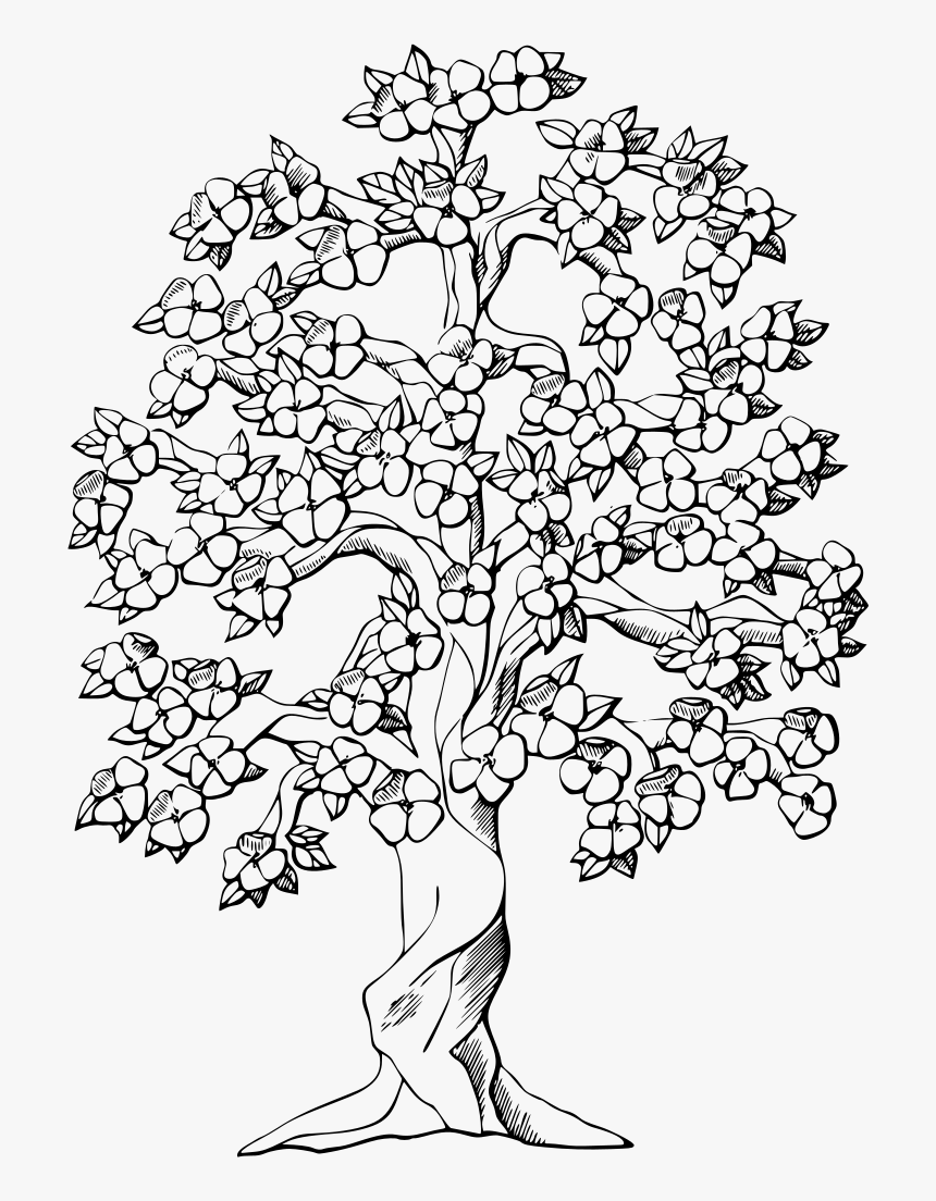 Cherry Tree Black And White, HD Png Download, Free Download