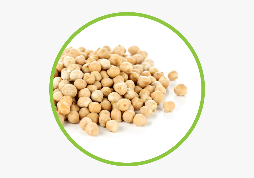 Chickpea Md Circle - Chick Pea Scientific Name, HD Png Download, Free Download