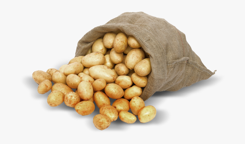 Chickpea - Sack Of Potatoes Png, Transparent Png, Free Download