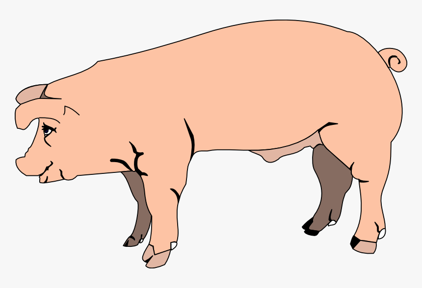 Transparent Pig Head Png - Hog Clipart, Png Download, Free Download