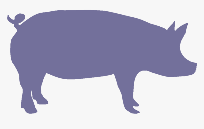 Pig Face Silhouette - Pig Clipart, HD Png Download, Free Download