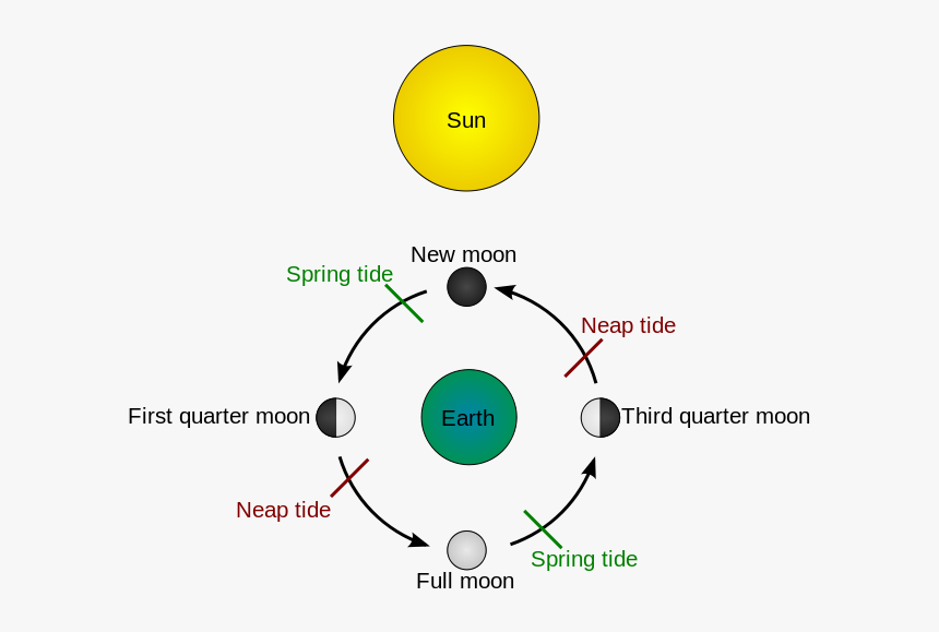 Sun / Moon Cycle And Tide - Illustration Of A Tide, HD Png Download, Free Download