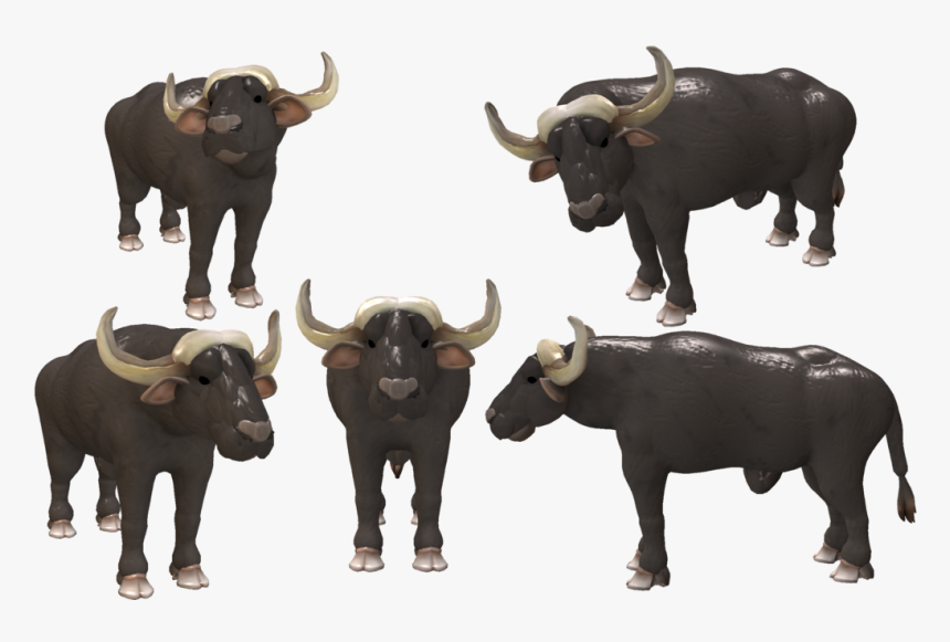 Cape Buffalo Transparent Background - African Buffalo Zoo Tycoon, HD Png Download, Free Download