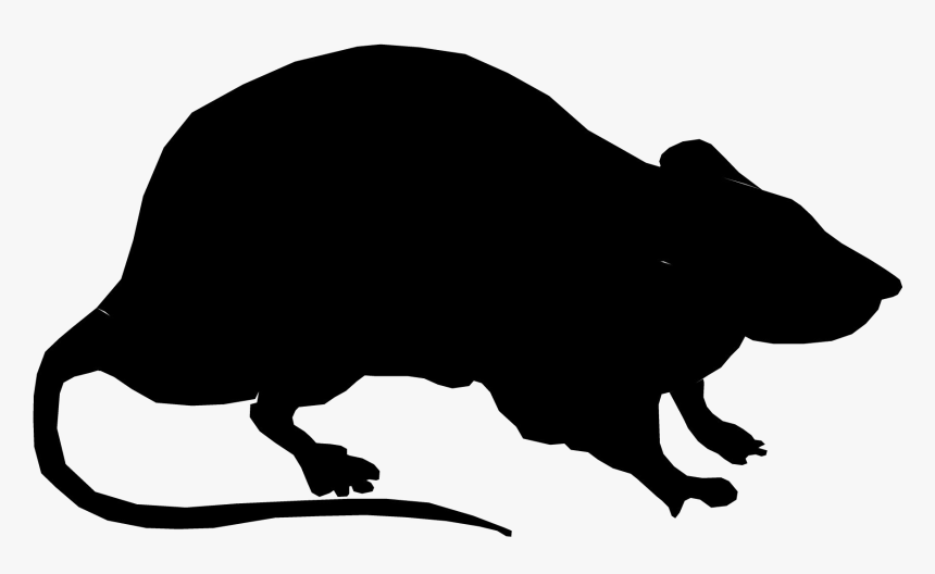 Rat Clip Art Vector Graphics Image Openclipart - Silhouette Of A Rat, HD Png Download, Free Download