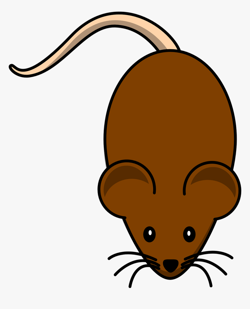 Mouse Clip Art, HD Png Download, Free Download