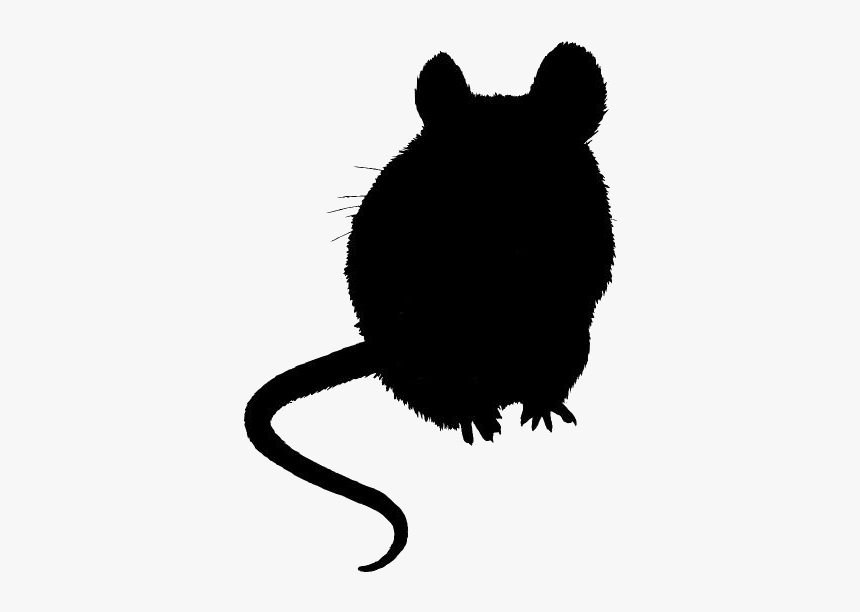 Rat Png Full Hd - Rat, Transparent Png, Free Download