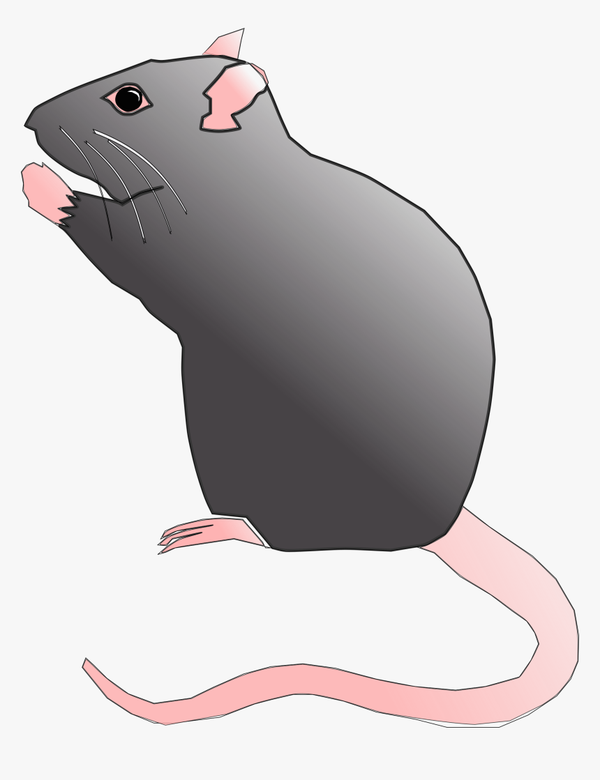 Ratx Image Png - Cute Rat Clip Art, Transparent Png, Free Download