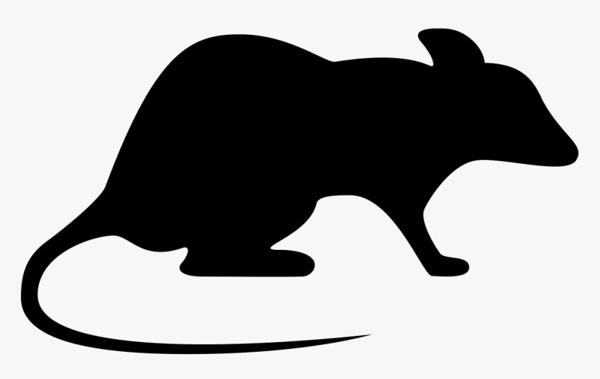 Rat Looking Right - Icon Rat Png, Transparent Png, Free Download