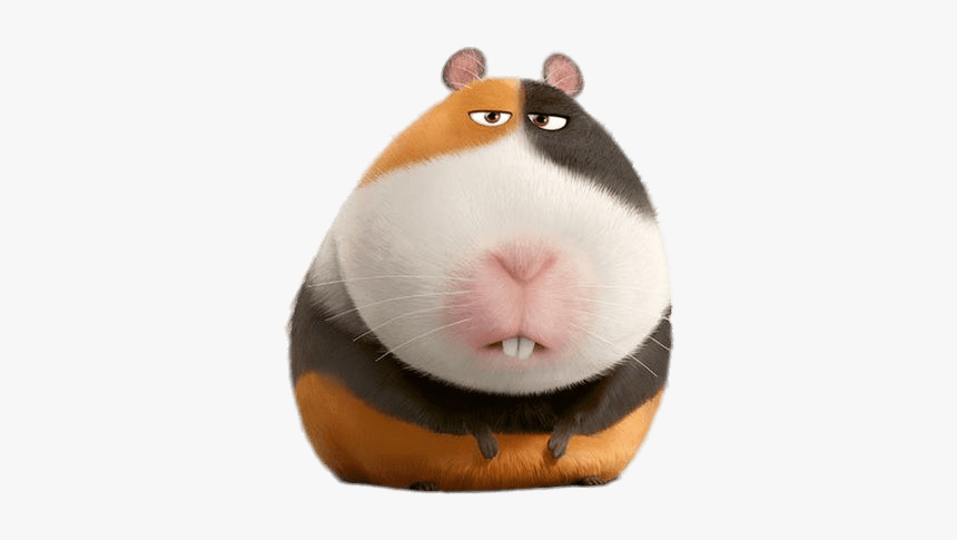 Rat - Pets Movie Guinea Pig, HD Png Download, Free Download