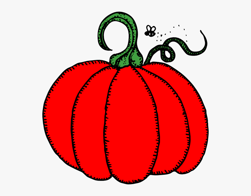 Line Drawing Pumpkin Clip Art - Green Pumpkin Clip Art, HD Png Download, Free Download