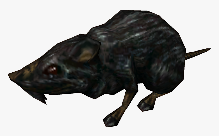 Rat.png, Transparent Png, Free Download