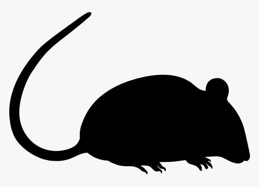Rat Silhouette - Transparent Rat Vector Png, Png Download, Free Download