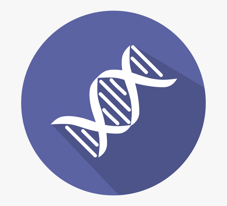 Dna Molecule Vector, HD Png Download, Free Download
