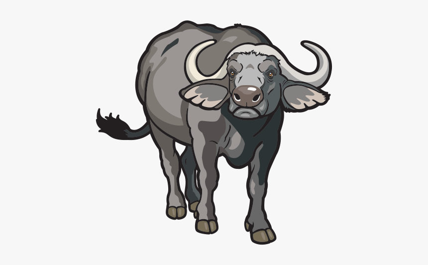 Buffalo Transparent Decal - Dibujos De Animales Vertebrados, HD Png Download, Free Download