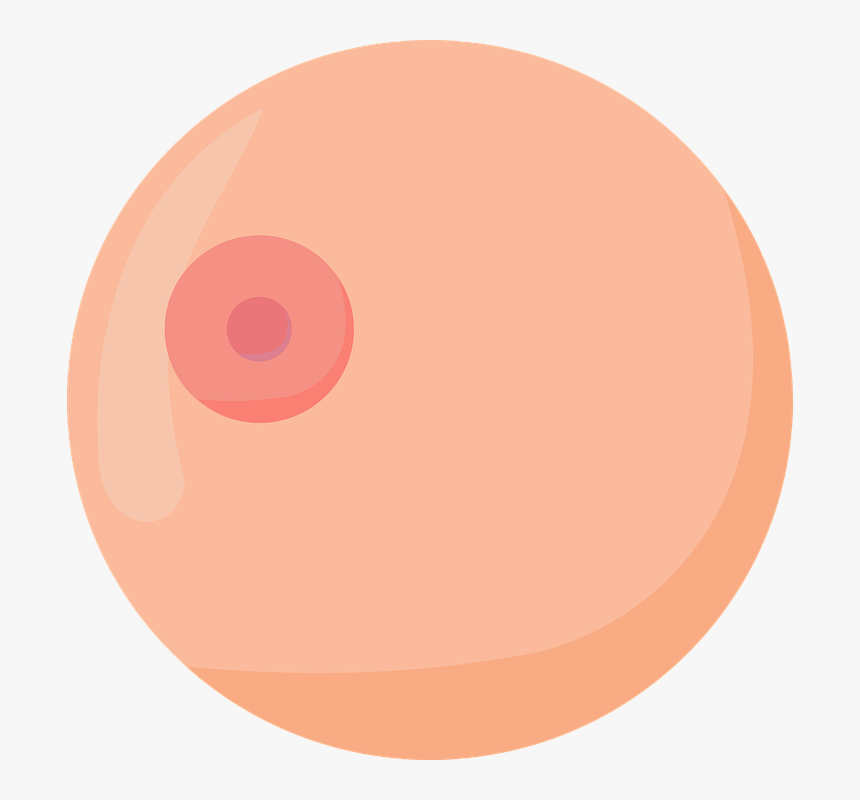 Boobs, Boob, Breasts, Breast, Female, Vector, Symbol - Boob Vector, HD Png Download, Free Download