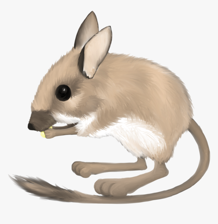 Transparent Rat Clipart Png - Mouse, Png Download, Free Download