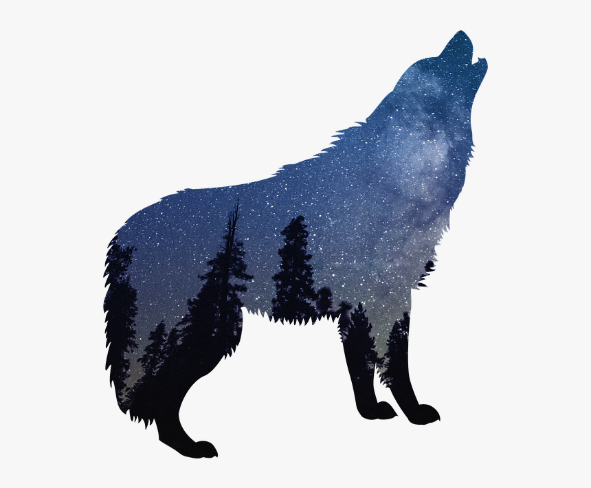 Wolves Wolf Nature Wild Animal Wildlife Predator - Howling Wolf Silhouette Png, Transparent Png, Free Download