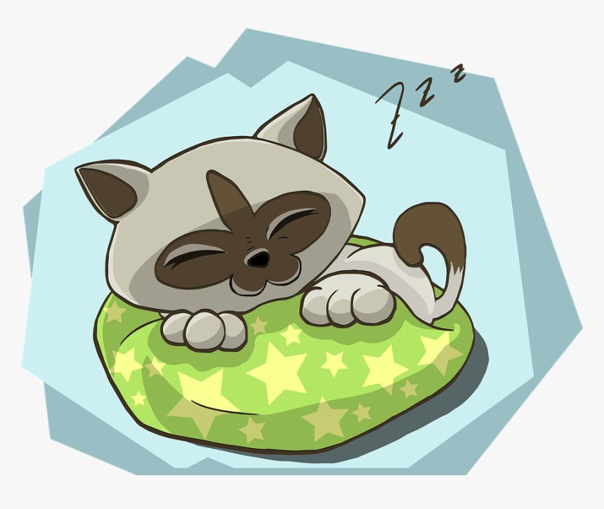 Kitten, Kitty, Cat, Sleeping, Sleep, Zzz, Animal, Fur - Cat Sleeping In A Cot Cartoon, HD Png Download, Free Download