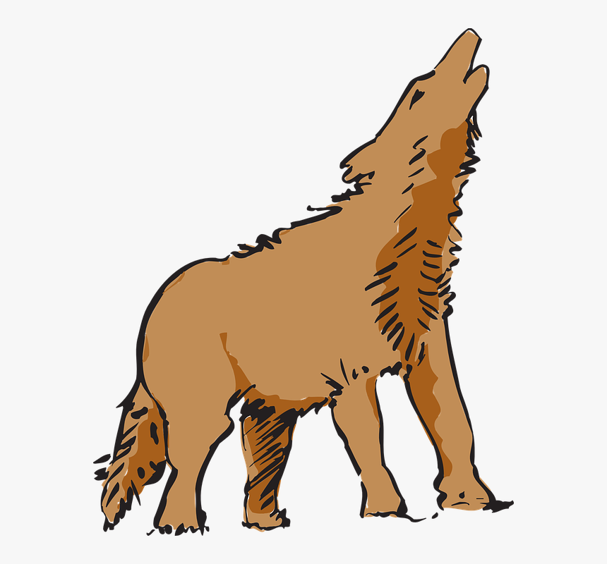 Wolf, Howling, Canine, Lobo, Coyote, Dog - Coyote Clipart Png, Transparent Png, Free Download