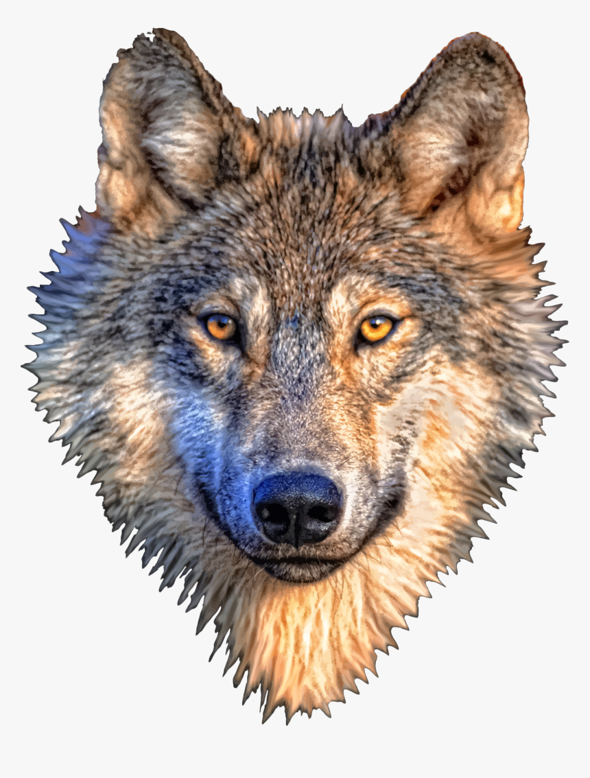 Wolf Head Clip Arts - Wolf Head Transparent Background, HD Png Download, Free Download