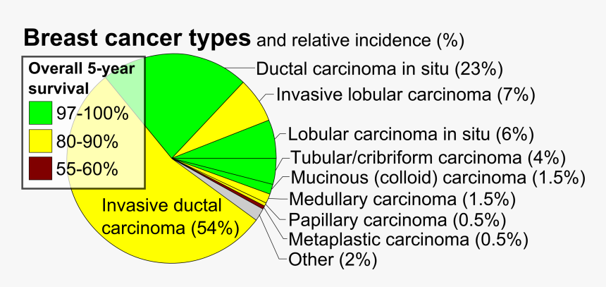 Pie Chart Of Incidence And Prognosis Of Histopathologic - Circle, HD Png Download, Free Download