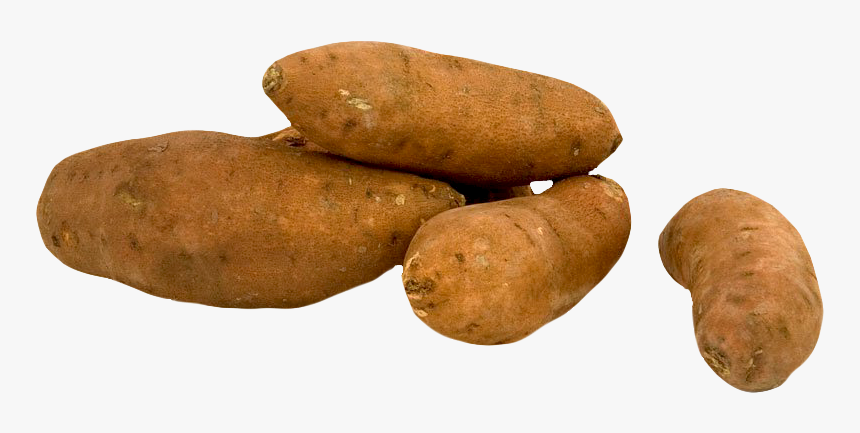 Sweet Potato Png Image Png, Transparent Png, Free Download