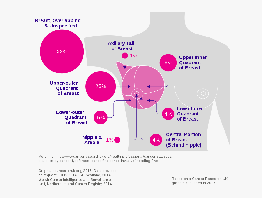 Breast Cancer Incidence By Anatomical Site - Site Of Breast Cancer, HD Png Download, Free Download