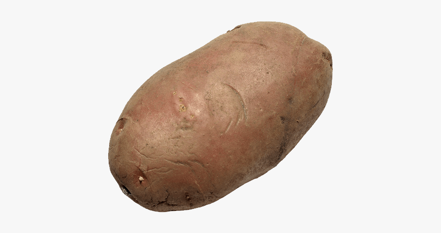 Yam - Transparent Potato Clear Background, HD Png Download, Free Download
