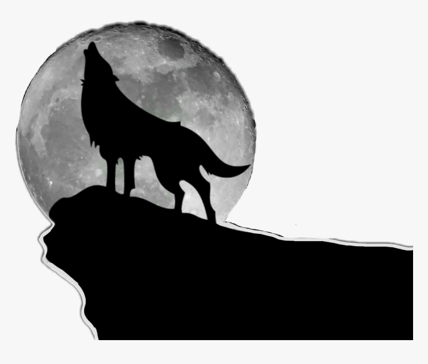 #freetoedit #wolf #moon #silhouette #howling #night - Wolf On A Rock Drawing, HD Png Download, Free Download