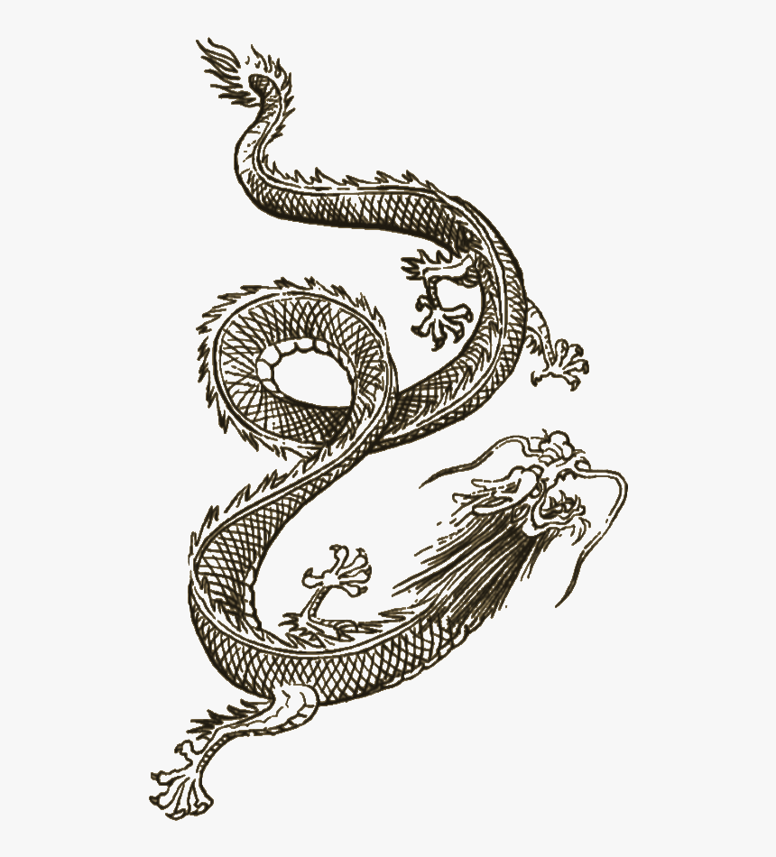 Transparent Oriental Dragon Clipart - Sleeping Dogs Dragon Tattoo, HD Png Download, Free Download