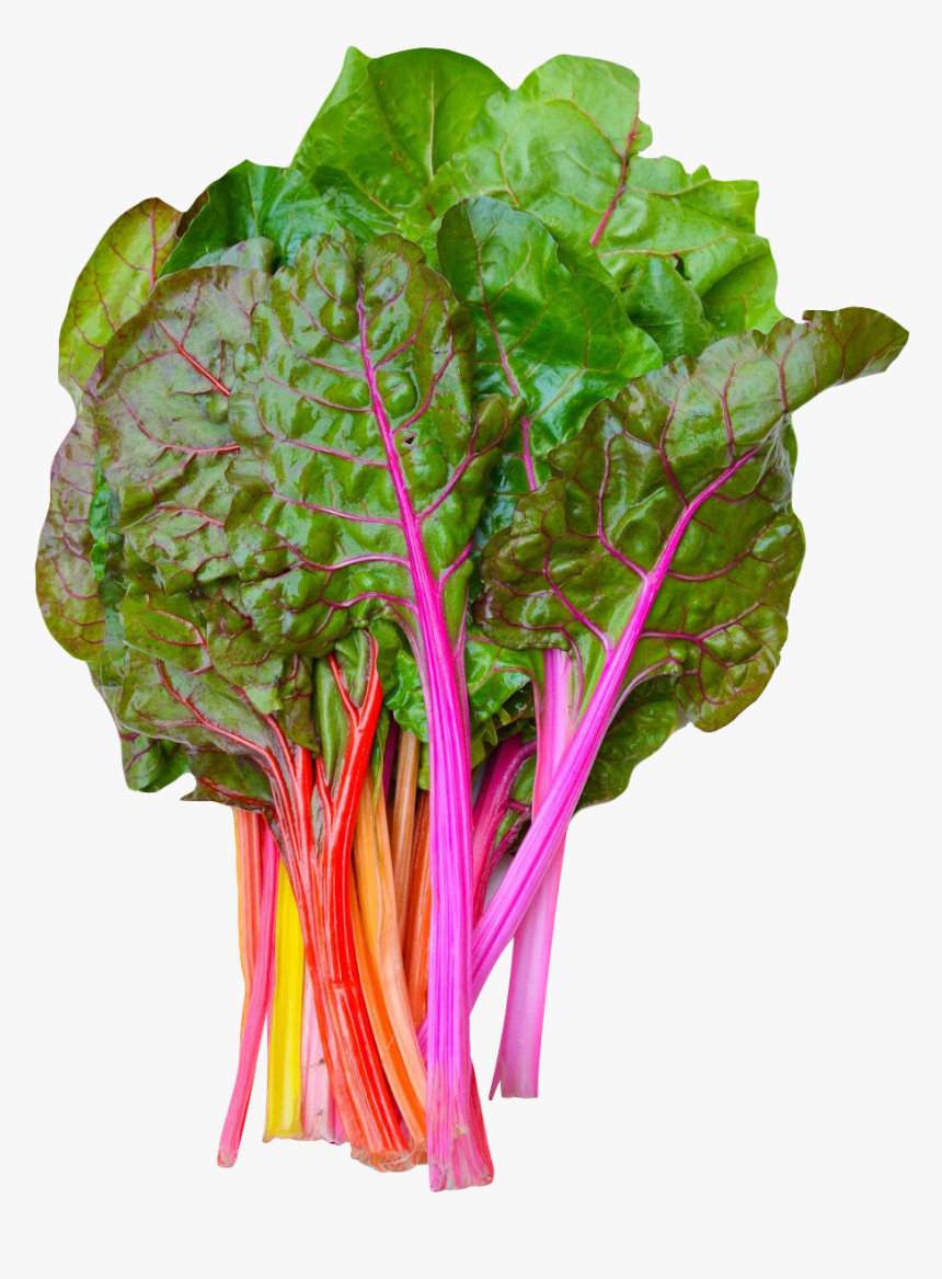 Rainbow Swiss Chard Png Image - Swiss Chard Png, Transparent Png, Free Download
